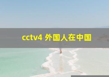 cctv4 外国人在中国